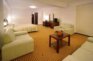 Отель Hotel Citrin - Adults Only Брашов Двухместный номер Делюкс с 1 кроватью-1